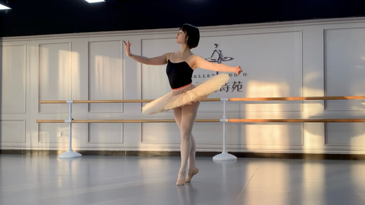 Sleeping Beauty Variations - So hard, what the hell did it turn into in the end