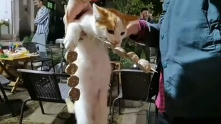 I just ate it—fine, go ahead and call the cops!