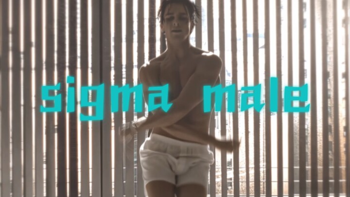 “who's sigma:川普vs拜登”