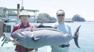 Kumpulan video lucu dari luar negeri, setelah menontonnya rasanya seluruh dunia begitu menyenangkan!