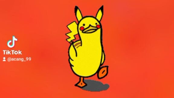 duck man