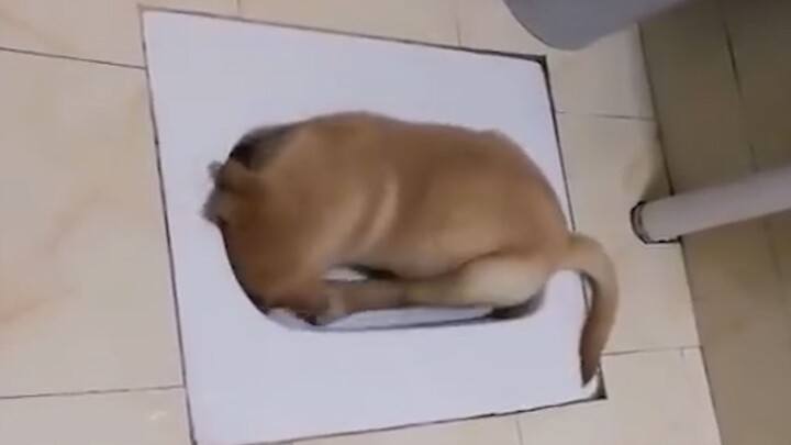“A Guide to Discouraging Dog Ownership”