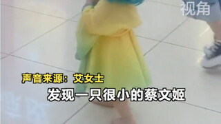 7月4日，浙江丽水。小女孩COS蔡文姬去逛商场，路人被“萌翻” 太可爱了，很想给抱走，网友：边走路边给自己“回奶”