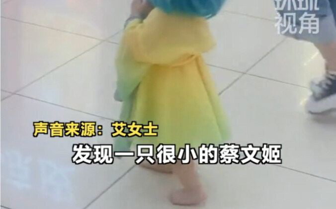 7月4日，浙江丽水。小女孩COS蔡文姬去逛商场，路人被“萌翻” 太可爱了，很想给抱走，网友：边走路边给自己“回奶”
