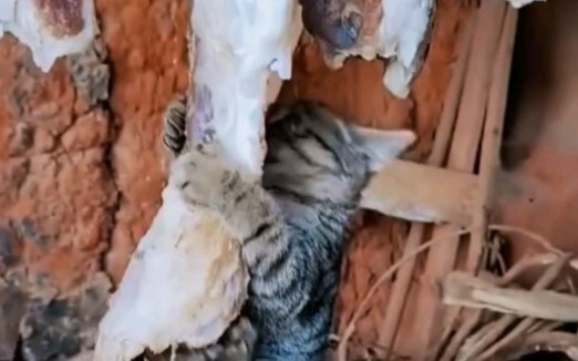 Jadi prasmanan sekarang, hahaha!