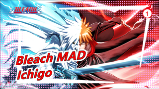 [Bleach/Ichigo] Aku Akan, Aku Akan, Aku Akan Melindungimu!!!_1