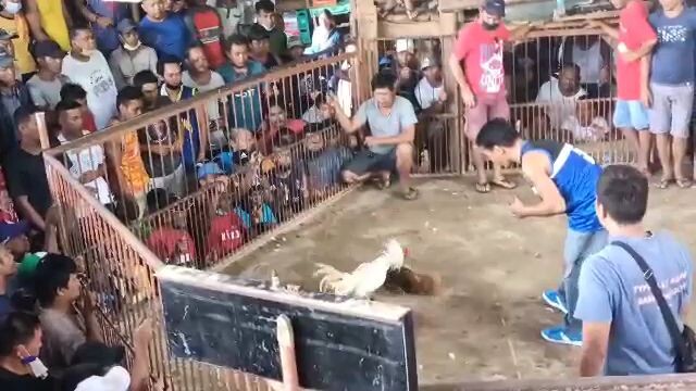 loss tayu jan mga boss