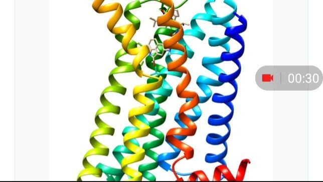 Hello girl we will be friends near if we have dopamine telepathy