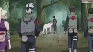 Naruto: The slug in Sakura's hand is Tsunade's summoning beast, but this slug is so funny