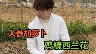 阿叔种的人参