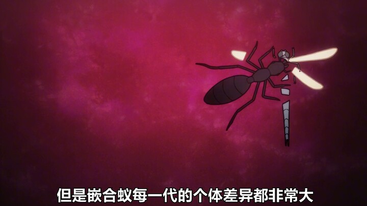 这个比拇指还小得婴儿竟然是怪物猎人凯特的转世之身！