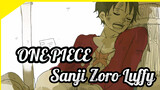 ONE PIECE|[Self-Drawn]Sanji*Luffy/Zoro*Luffy The Boy and the Robot