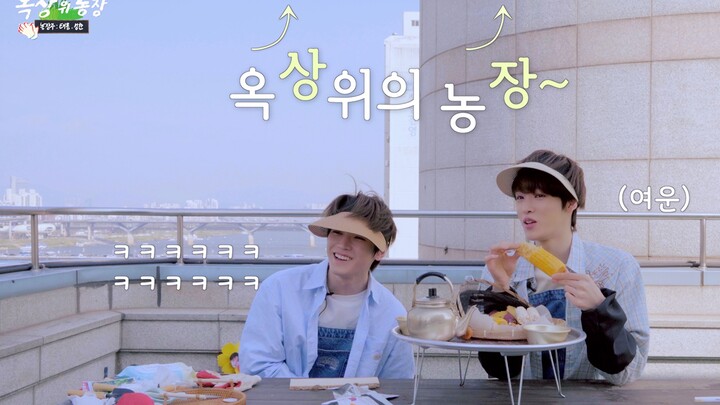 【NCT】Grow up healthy and strong 🌱👨‍🌾 | Rooftop Farm