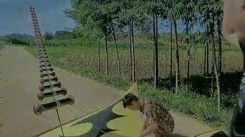 diều sáo