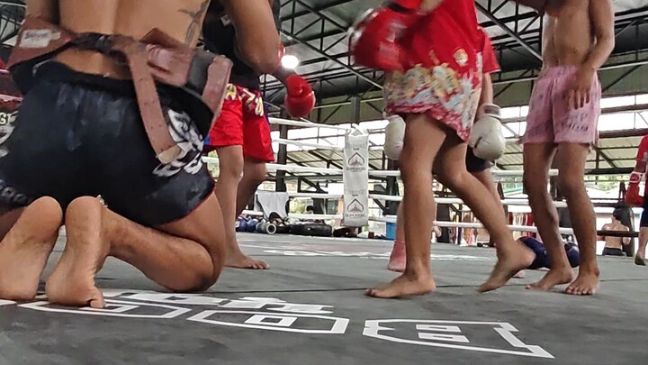 ซ้อมมวยคับ