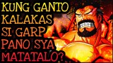 PAANO MATATALO SI GARP?! | One Piece Tagalog Analysis