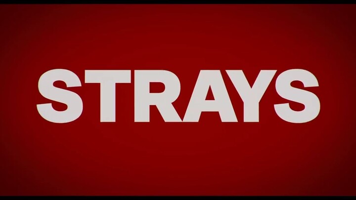 Strays _2023 Watch Full Movie : Link In Description
