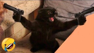 Funny Animals 2023🤣Best Funny Dogs/Cat Videos 😹Funny Animal Videos👌🤣