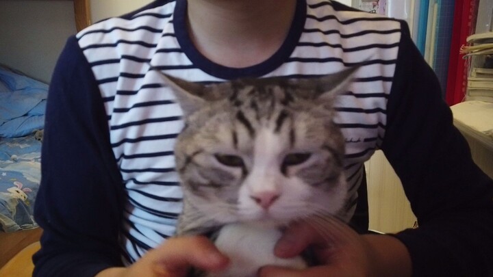 Up kecil masih hidup!!