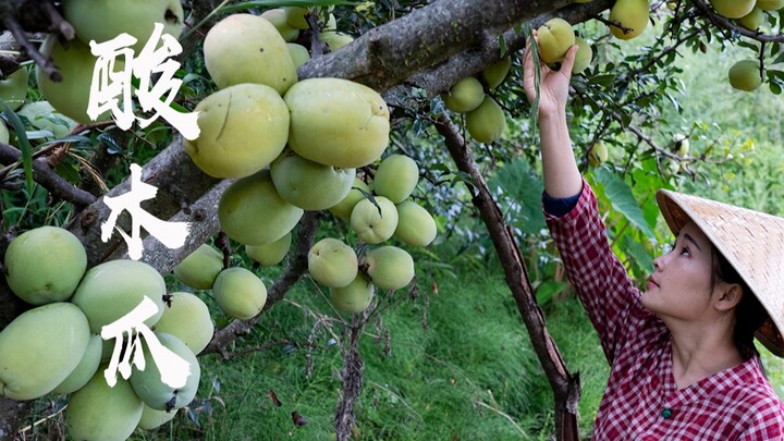 มะละกอเปรี้ยว: ราชาแห่งผลไม้รสเปรี้ยวในใจฉัน