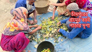 চাঁদপুরের গ্রামে এসে জমি থেকে অনেক সব্জি তুলে নিলাম ॥ যা দেখে অবাক হবেন সবাই॥😱