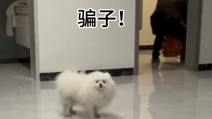 Dog: I often wish I could turn into a human and beat you up.