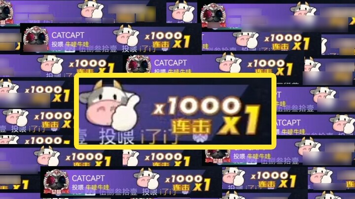 What bad intentions could DD have? She just wanted to give the anchor 1,000 Niuwa! How could DD pers