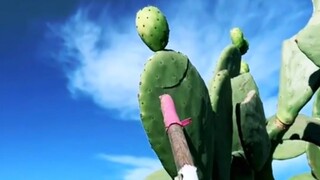 “令人解压的仙人掌”