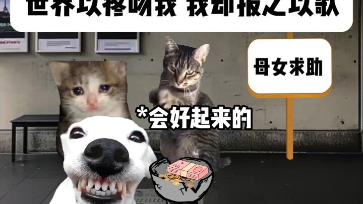 世界以疼吻我，我却报之以歌