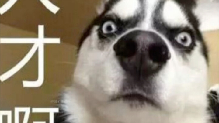 Who knew you could do this to a car…