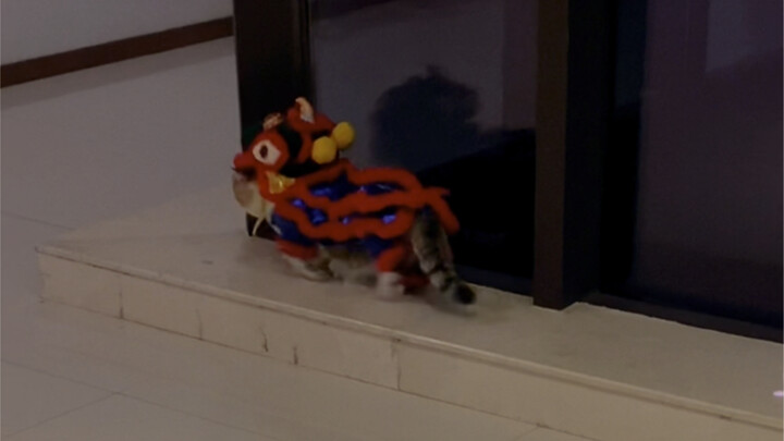 New Year! It’s coming!