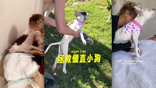 当全身僵直的狗狗遇到好心兽医💗🥹