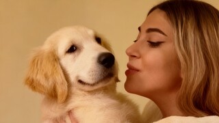 Suddenly kissed the dog!