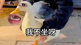 《旋转墓马》