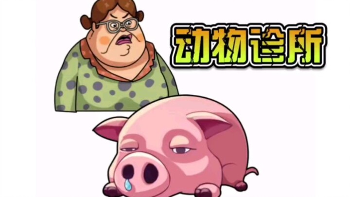 Heo Heo và Thỏ Thỏ đều không khỏe, rốt cuộc chúng bị làm sao vậy?