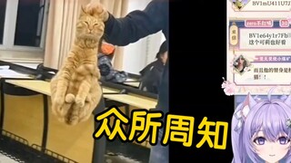[Liang Sheng không nấc cụt] Con mèo tím đã xem "Tom và Jerry không bao giờ lừa dối tôi!" và cảm động