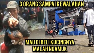 Menyelamatkan Anak Kucing Yang Minta Tolong Karena Di Bawa Di Duga ODGJ Di Pasar..!