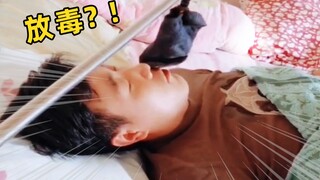 【人类迷惑行为】141 人类毒脚兽