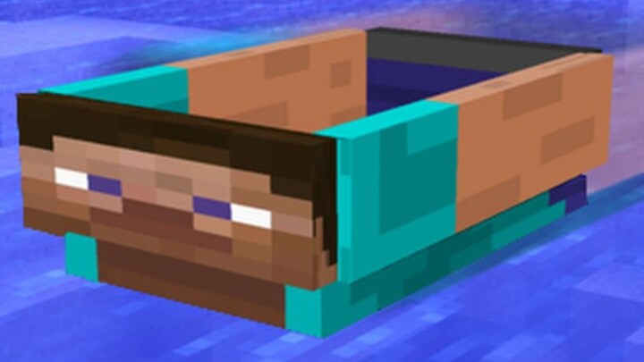 [Minecraft] Wait, what is this?!