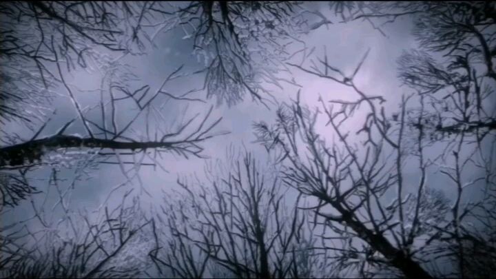 Satoru gojo when was child