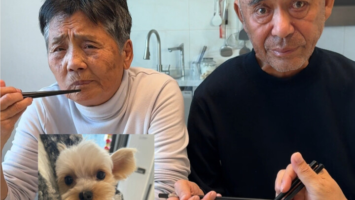 When I Turned My Puppy’s Story Into Gossip for the Family