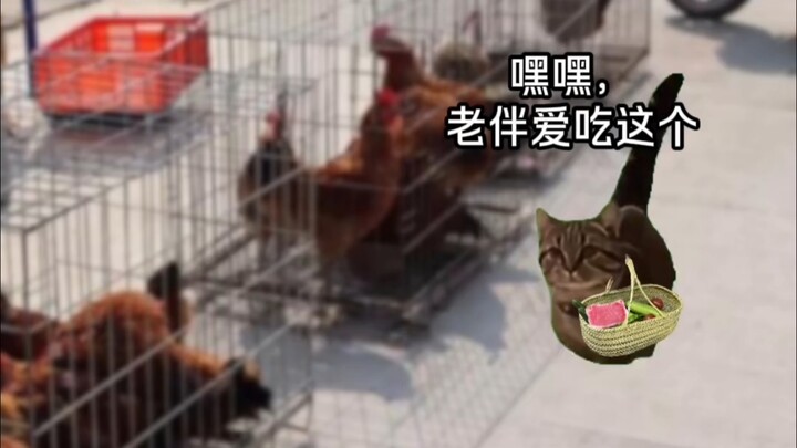 Tình yêu của thế hệ trước mới thật sự là tình yêu…