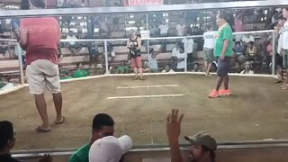 2nd fight win champion Tayo.
