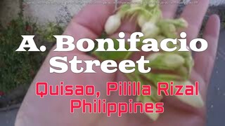 A  Bonifacio Street | Quisao, Pililla Rizal Philippines