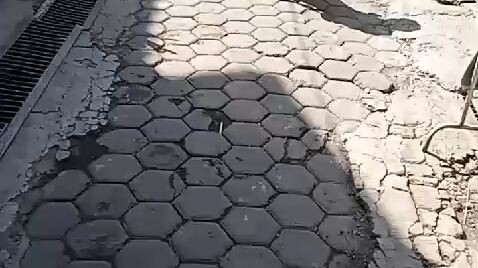 mau sekolah  katanya