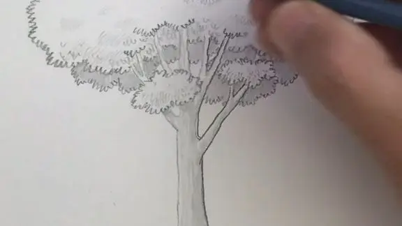 tutorial drawing