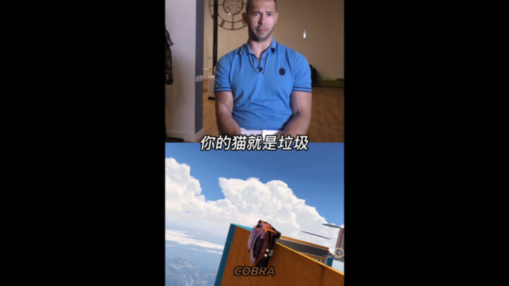 Tại sao nuôi mèo mãi mãi không bằng nuôi chó