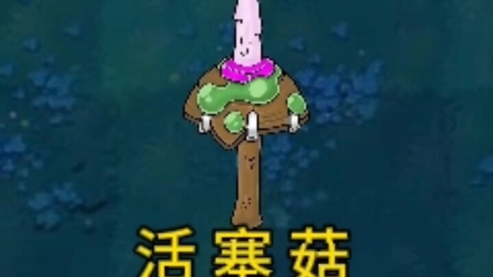 Loài thực vật nghịch thiên: Nấm Piston