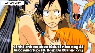 Top 6 Mĩ Nhân Trong Dàn Harem Của Luffy #10 1