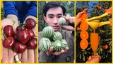 😍Farm Fresh Ninja Fruit #5 | Tik Tok China | (Oddly Satisfying Fruit Ninja)